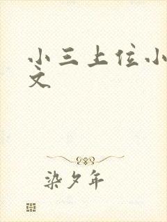 小三上位小说全文