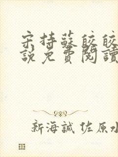 宋持苏皎皎的小说免费阅读