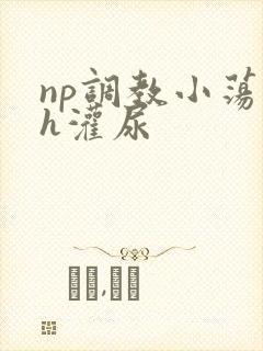 np调教小荡货h灌尿