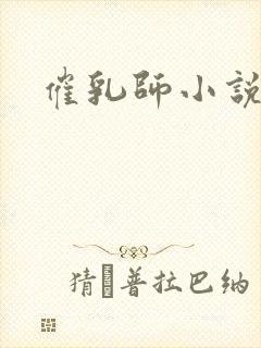 催乳师小说封面
