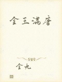 金玉满唐封面