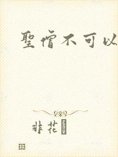 圣僧不可以封面