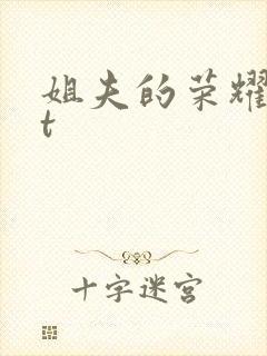 姐夫的荣耀txt封面