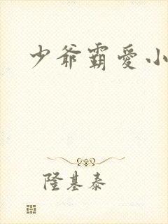 少爷霸爱小丫头