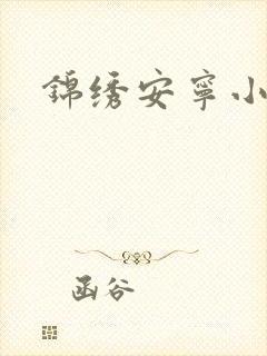 锦绣安宁小说封面