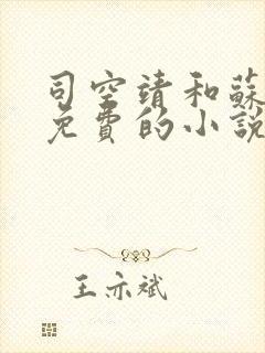 司空靖和苏月汐免费的小说笔趣阁