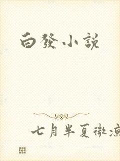 白发小说