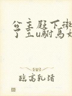 公主殿下微臣馋了玉u驸马姓傅