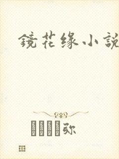 镜花缘小说
