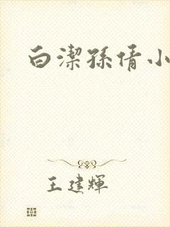 白洁孙倩小说封面