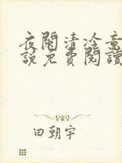 夜阑清冷意欢小说免费阅读封面