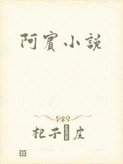 阿宾小说
