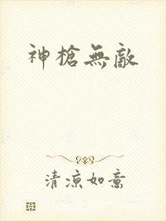 神枪无敌封面