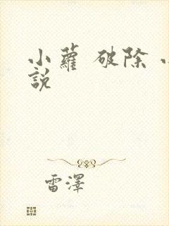 小萝 破除 小说封面