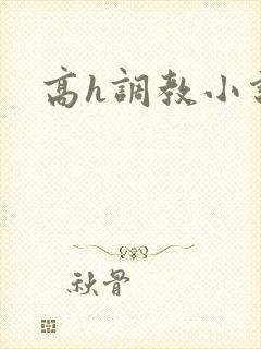 高h调教小说封面