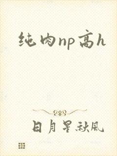 纯肉np高h封面
