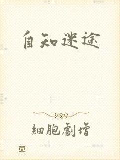 自知迷途
