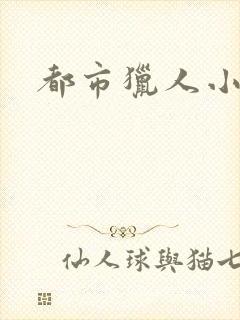 都市猎人小说