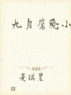九月鹰飞小说