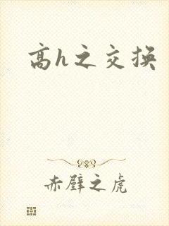 高h之交换封面