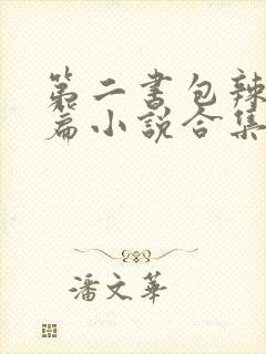 第二书包辣网短篇小说合集