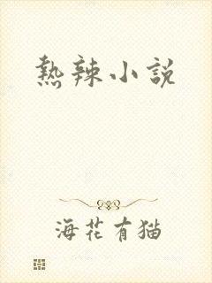 热辣小说封面