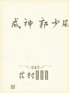 成神 郭少风封面