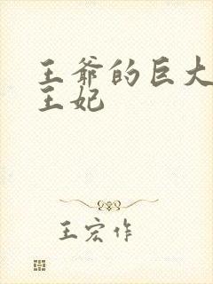 王爷的巨大进入王妃