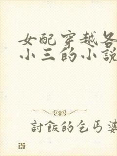 女配穿越各个做小三的小说封面