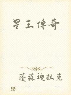 星王传奇