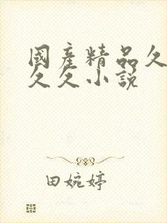 国产精品久久久久久小说封面