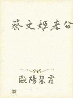 蔡文姬老公封面