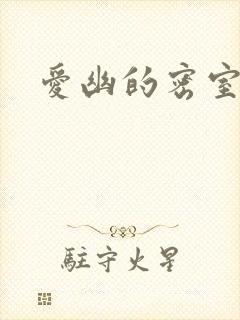 爱幽的密室小说