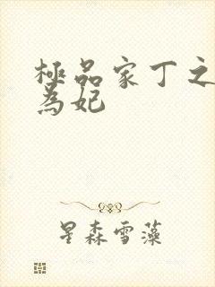 极品家丁之册母为妃封面