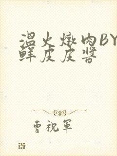 温火炖肉BY海鲜皮皮酱