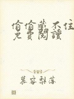 偷偷藏不住小说免费阅读