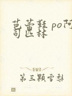 芭蕾鞋 po阿司匹林