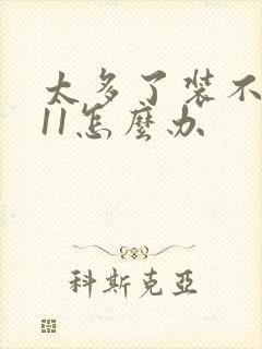 太多了装不下h11怎么办