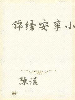 锦绣安宁小说