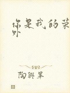 你是我的荣耀番外