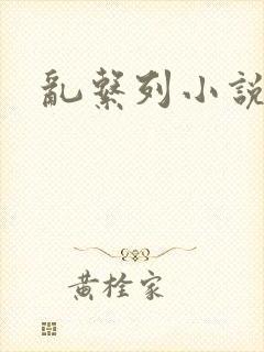 乱系列小说封面