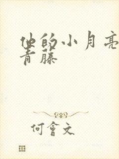 他的小月亮by青藤