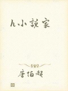 h小说家