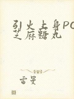 引火上身POP芝麻糖丸封面