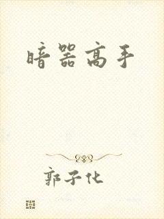 暗器高手
