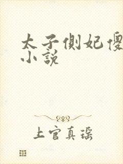 太子侧妃傻乎乎小说