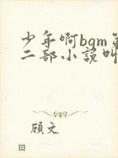 少年啊bgm第二部小说叫什么