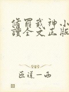 修罗武神小说阅读全文正版封面