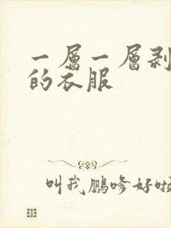 一层一层剥掉你的衣服