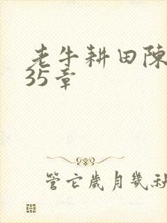 老牛耕田陈雪435章